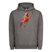 Pigment Tornado Northern Cardinal Bird Urban Hoodie - LillyAllenDesigns