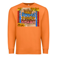 Carrot usa flag sweet and sassy Premium Sweatshirt - HRA Design Shop