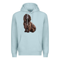 Blue Mist Boykin Spaniel Dog Premium Hoodie - LillyAllenDesigns