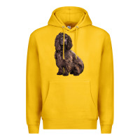 Lemon Boykin Spaniel Dog Premium Hoodie - LillyAllenDesigns