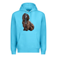 Ocean Blue Boykin Spaniel Dog Premium Hoodie - LillyAllenDesigns