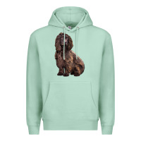 Seafoam Boykin Spaniel Dog Premium Hoodie - LillyAllenDesigns