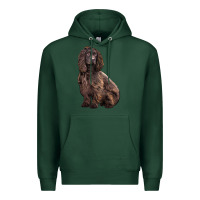 Sports Green Boykin Spaniel Dog Premium Hoodie - LillyAllenDesigns