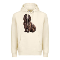 Tofu Boykin Spaniel Dog Premium Hoodie - LillyAllenDesigns