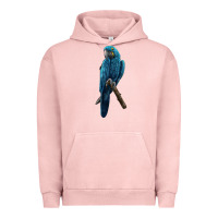 Pigment Salmon Hyacinth Macaw Urban Hoodie - LillyAllenDesigns