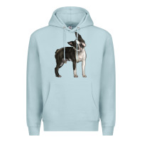 Blue Mist Boston Terrier Premium Hoodie - LillyAllenDesigns