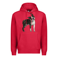 Cardinal Boston Terrier Premium Hoodie - LillyAllenDesigns