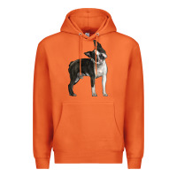 Carrot Boston Terrier Premium Hoodie - LillyAllenDesigns