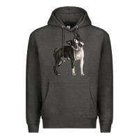 Charcoal Heather Boston Terrier Premium Hoodie - LillyAllenDesigns