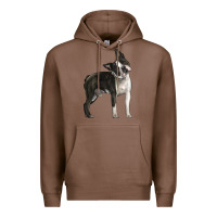 Chestnut Boston Terrier Premium Hoodie - LillyAllenDesigns