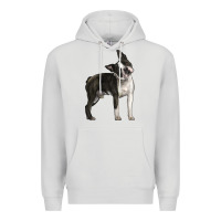 Dove Grey Boston Terrier Premium Hoodie - LillyAllenDesigns