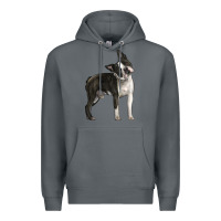 Rock Boston Terrier Premium Hoodie - LillyAllenDesigns