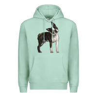 Seafoam Boston Terrier Premium Hoodie - LillyAllenDesigns