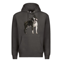 Smoke Boston Terrier Premium Hoodie - LillyAllenDesigns