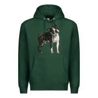 Sports Green Boston Terrier Premium Hoodie - LillyAllenDesigns