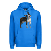 True Royal Boston Terrier Premium Hoodie - LillyAllenDesigns
