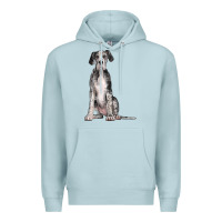Blue Mist Great Dane Dog Premium Hoodie - LillyAllenDesigns