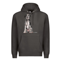 Smoke Great Dane Dog Premium Hoodie - LillyAllenDesigns