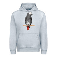 Heather Grey African Gray Parrot Bird Urban Hoodie - LillyAllenDesigns
