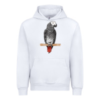 White African Gray Parrot Bird Urban Hoodie - LillyAllenDesigns