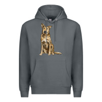 Rock chinook dog Premium Hoodie - LillyAllenDesigns