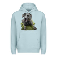 Blue Mist Texas Blue Lacy Dog Premium Hoodie - LillyAllenDesigns