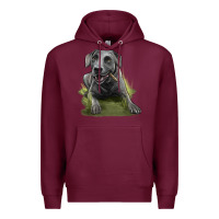 Burgundy Texas Blue Lacy Dog Premium Hoodie - LillyAllenDesigns
