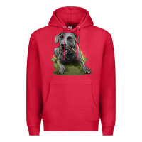 Cardinal Texas Blue Lacy Dog Premium Hoodie - LillyAllenDesigns