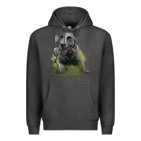 Charcoal Heather Texas Blue Lacy Dog Premium Hoodie - LillyAllenDesigns