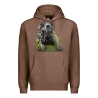 Chestnut Texas Blue Lacy Dog Premium Hoodie - LillyAllenDesigns
