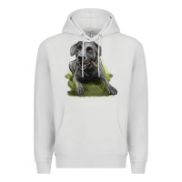 Dove Grey Texas Blue Lacy Dog Premium Hoodie - LillyAllenDesigns