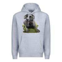 Heather Grey Texas Blue Lacy Dog Premium Hoodie - LillyAllenDesigns