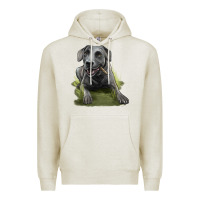 Oatmeal Heather Texas Blue Lacy Dog Premium Hoodie - LillyAllenDesigns