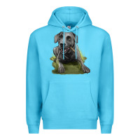 Ocean Blue Texas Blue Lacy Dog Premium Hoodie - LillyAllenDesigns
