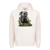 Pale Pink Texas Blue Lacy Dog Premium Hoodie - LillyAllenDesigns