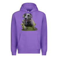 Purple Texas Blue Lacy Dog Premium Hoodie - LillyAllenDesigns