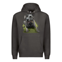 Smoke Texas Blue Lacy Dog Premium Hoodie - LillyAllenDesigns