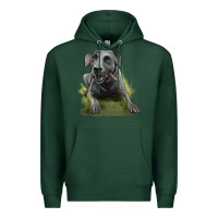 Sports Green Texas Blue Lacy Dog Premium Hoodie - LillyAllenDesigns