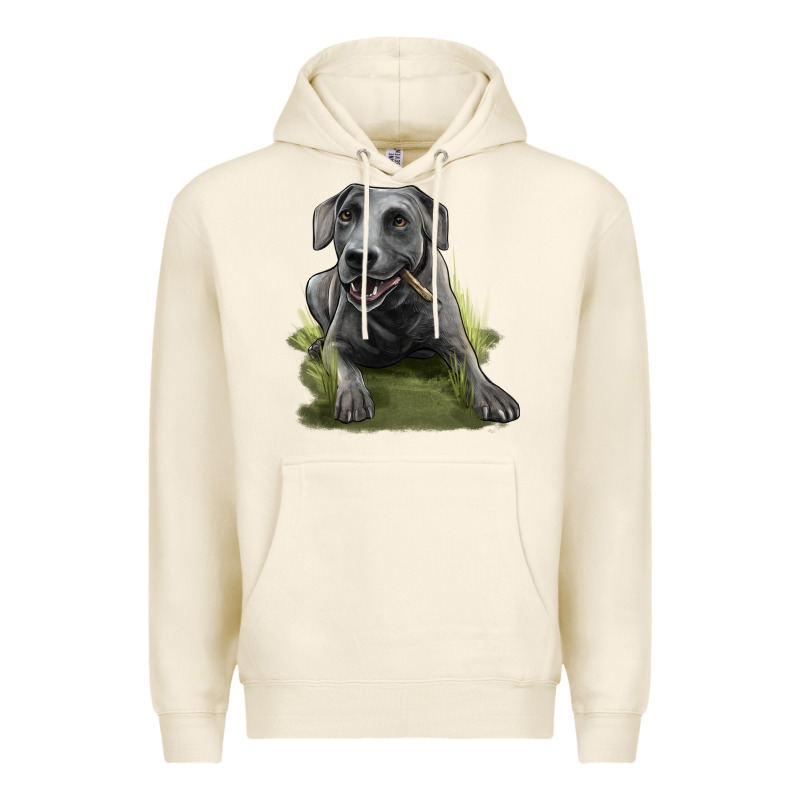 Texas Blue Lacy Dog Premium Hoodie by LillyAllenDesigns | Teevron