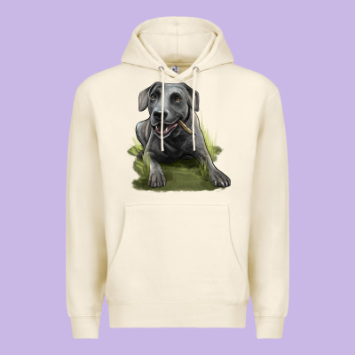 Texas Blue Lacy Dog Premium Hoodie Designed By Lillyallendesigns