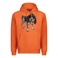 Carrot bluetick coonhound Premium Hoodie - LillyAllenDesigns