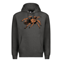 Charcoal Heather Mexican Red Knee Tarantula Premium Hoodie - LillyAllenDesigns