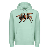 Seafoam Mexican Red Knee Tarantula Premium Hoodie - LillyAllenDesigns