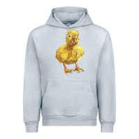 Heather Grey Baby Duck Urban Hoodie - LillyAllenDesigns