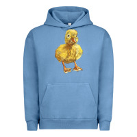 Pigment Pebble Blue Baby Duck Urban Hoodie - LillyAllenDesigns