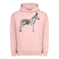 Pigment Salmon Andalusian Donkey Urban Hoodie - LillyAllenDesigns