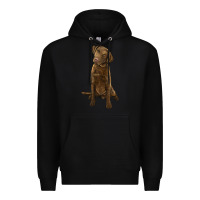 Black chesapeake bay retriever Premium Hoodie - LillyAllenDesigns