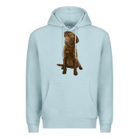 Blue Mist chesapeake bay retriever Premium Hoodie - LillyAllenDesigns