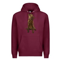 Burgundy chesapeake bay retriever Premium Hoodie - LillyAllenDesigns