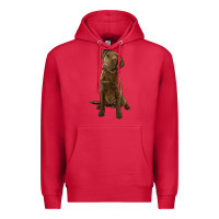 Cardinal chesapeake bay retriever Premium Hoodie - LillyAllenDesigns